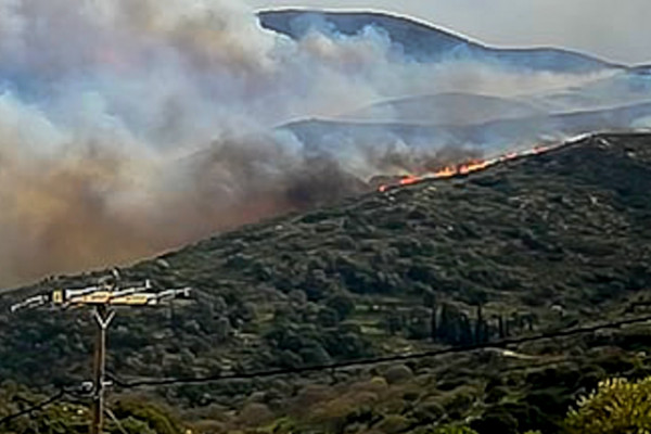 Μεγάλη φωτιά στη Μάνδρα: Επί τόπου ισχυρές πυροσβεστικές δυνάμεις