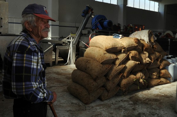 Κούρεμα έως 60% στα αγροτικά χρέη και ρύθμιση σε 120 δόσεις