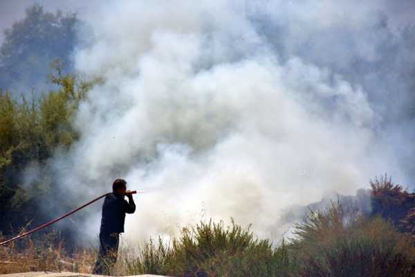 «Στάχτη» περισσότερα από 300.000 στρέμματα το 2016