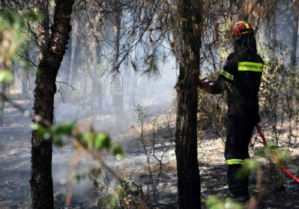 Απαγόρευση κυκλοφορίας σε δασικές περιοχές