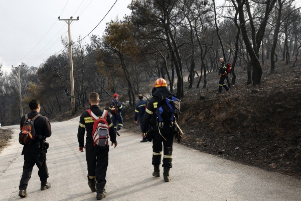 Ραφήνα: Ξεκινούν μικτές περιπολίες στις πληγείσες περιοχές