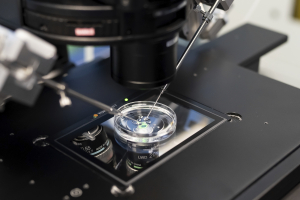 Το σπέρμα κολυμπά πιο γρήγορα το καλοκαίρι, σύμφωνα με νέα μελέτη