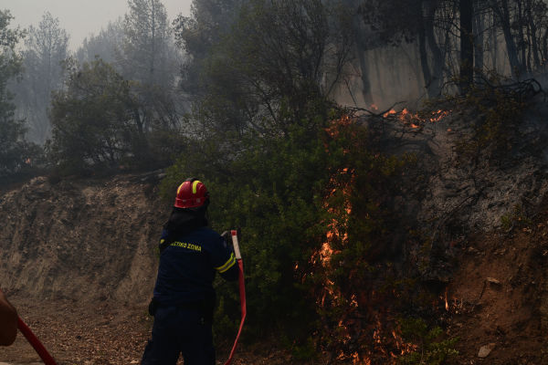 Υπό έλεγχο η φωτιά στην Κασσάνδρα Χαλκιδικής