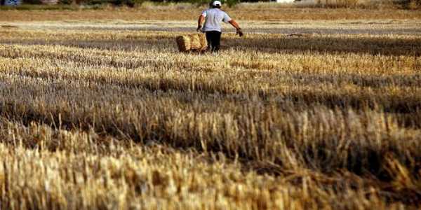 Η απόφαση για την ενιαία ενίσχυση σε &#039;&#039;νέους&#039;&#039; αγρότες