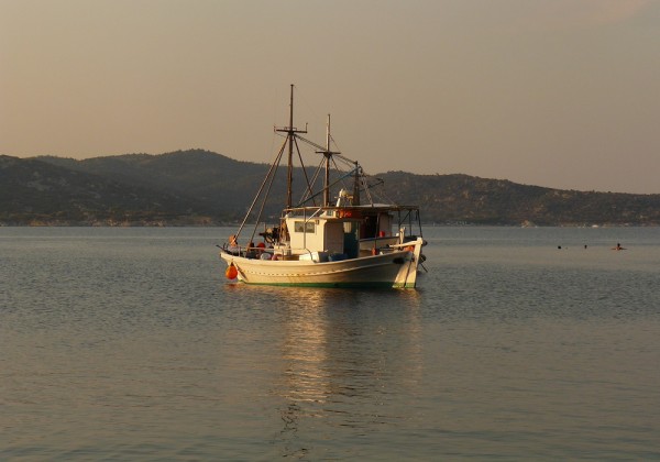 Κινέζοι ψάρευαν παράνομα τον Μαλιακό «αγγούρια της θάλασσας» που πωλούνται 1.000 ευρώ το κιλό