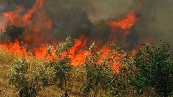 Υπό έλεγχο οι πυρκαγιές σε ΒΑ Αττική, Ηλεία, Ζάκυνθο