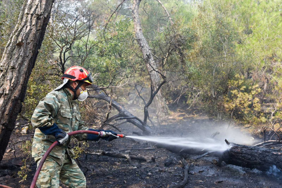 Μαίνεται η φωτιά στη Δαδιά Έβρου για 6η ημέρα, τα νεότερα για τις πυρκαγιές - Συλλήψεις για εμπρησμό