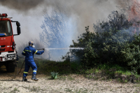 Φωτιά τώρα στην Ηλεία, ενισχύθηκαν οι δυνάμεις της Πυροσβεστικής