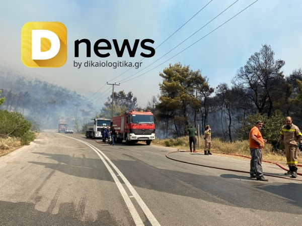 Το Dnews στη μεγάλη φωτιά στην Κάζα: Καίγονται σπίτια στον Προφήτη Ηλία - Επιστρέφει ο εφιάλτης στα Βίλια (εικόνες, βίντεο)