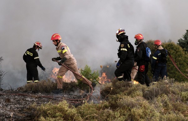 Πυρκαγιά σε δασική έκταση στην Αλεξανδρούπολη