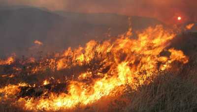 Δύο χρόνια φυλάκιση σε μελισσοκόμο για την πυρκαγιά στα Καλύβια Αττικής