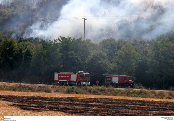 Σύλληψη για εμπρησμό σε δασική έκταση στα Τζουμέρκα