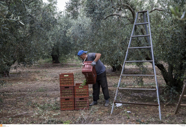 Eurokinissi / αρχείο