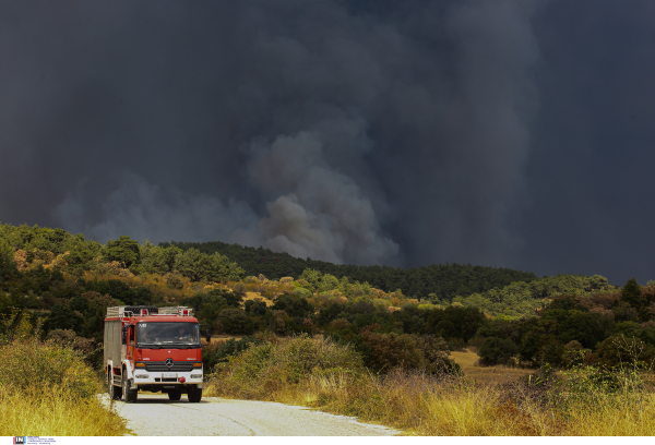 Φωτιά τώρα στη Ρόδο σε δασική περιοχή, σπεύδουν και εναέρια μέσα