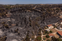 Meteo: Στάχτη το 37% των δασών της Αττικής στις φωτιές των τελευταίων 8 ετών