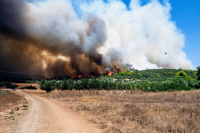 Μεγάλη φωτιά τώρα στην Εύβοια - &#039;Ηχησε το 112 γα τον Αλμυροπόταμο