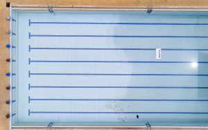 Θεσσαλονίκη: 10χρονος υπέστη ανακοπή σε κολυμβητήριο - Τον επανέφεραν διασώστες του ΕΚΑΒ