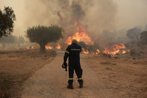 Ο πύρινος εφιάλτης συνεχίζεται: 88 αγροτοδασικές πυρκαγιές το τελευταίο 24ωρο