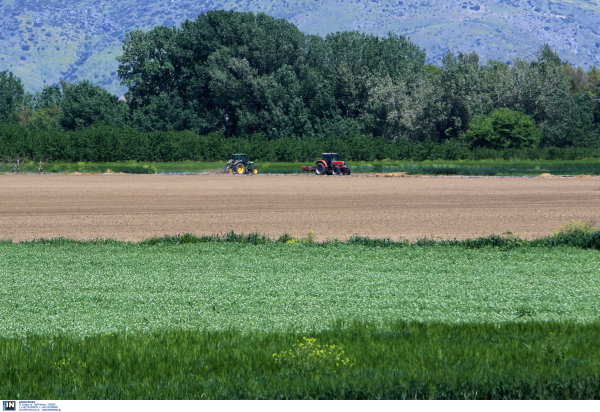 Σε λειτουργία η πλατφόρμα για αγροτικά δάνεια από 3.000 έως 25.000 ευρώ