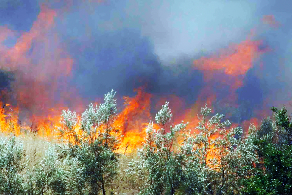 Βλάβη στο «112»: Εκτακτη ανακοίνωση της Πολιτικής Προστασίας για φωτιά σε Αχαΐα και Αργολίδα