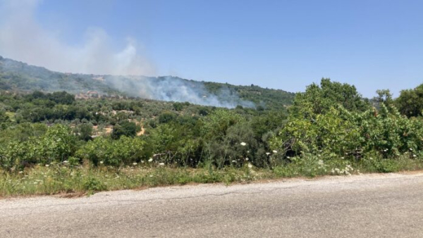 Φωτιά ΤΩΡΑ στο Πήλιο, μεγάλη κινητοποίηση της πυροσβεστικής