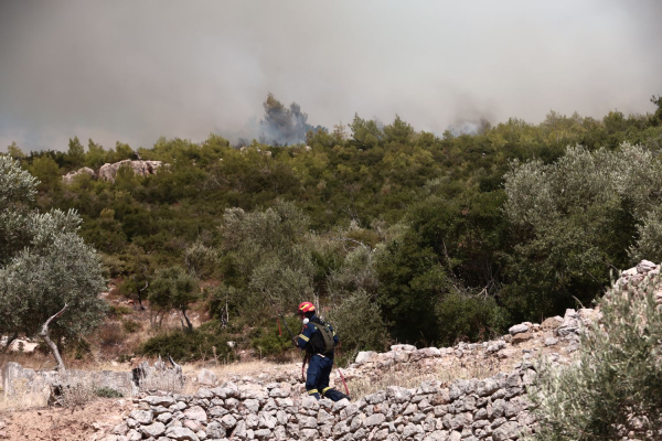 Φωτιά σε δασική έκταση στο Μοναστηράκι Βόνιτσας