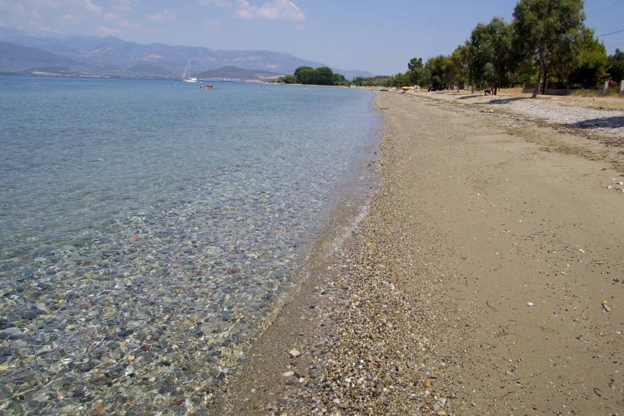 Χαμόγελα από τον τουρισμό στη Βόρεια Εύβοια, «η αισιοδοξία επιστρέφει μαζί με την αναγέννηση του καμένου δάσους»