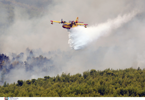 Σαράντα πέντε δασικές πυρκαγιές εκδηλώθηκαν το τελευταίο 24ωρο σε όλη την Ελλάδα