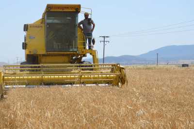 ΕΛΣΤΑΤ: Μειώθηκε το κόστος παραγωγής στην γεωργία το 2015