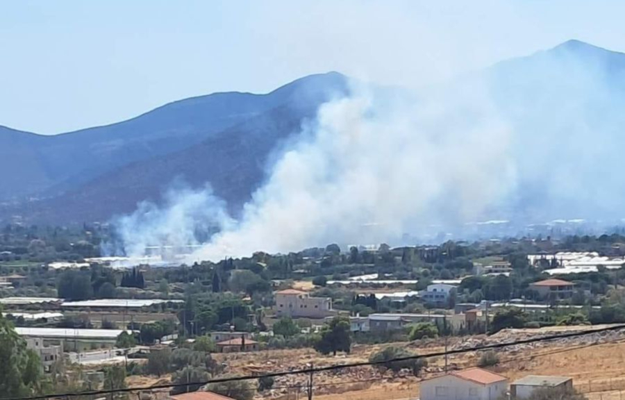 Φωτιά στον Μαραθώνα Αττικής - Σηκώθηκαν και εναέρια