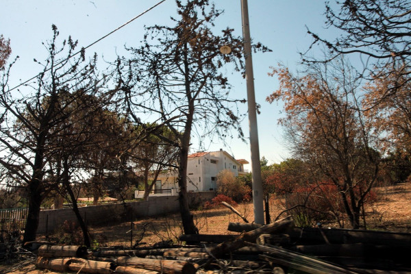 Δραματικά στοιχεία στο Μάτι: 74 άνθρωποι κάηκαν στους δρόμους