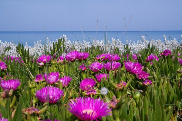 photo: καιρός - ΕΜΥ, Eurokinissi