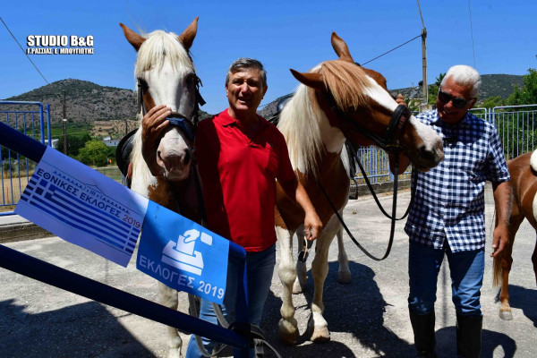 ΕΘΝΙΚΕΣ ΕΚΛΟΓΕΣ 2019 Photo: argolikeseidhseis