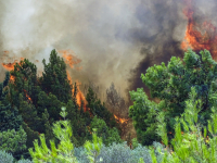 Συνεχίζει να καίει η φωτιά στο Βασιλίτσι, επέστρεψαν στα σπίτια τους οι κάτοικοι