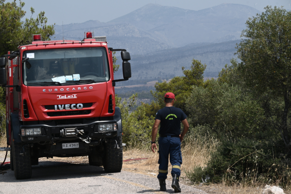 Νέα φωτιά στις Μοίρες Ηρακλείου, κινητοποίηση της πυροσβεστικής