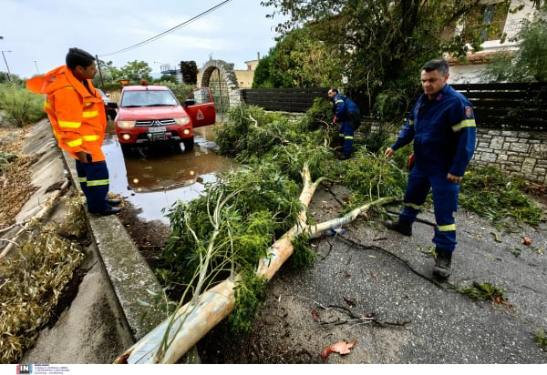 Έντονο το αποτύπωμα της κακοκαιρίας: Μπουρίνια, πτώσεις δέντρων και υπερχειλίσεις