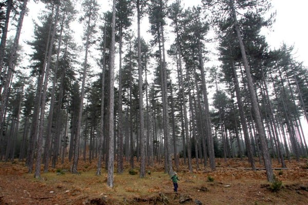 Στους 4.600 οι νεκροί από τον κυκλώνα Μαρία στο Πουέρτο Ρίκο