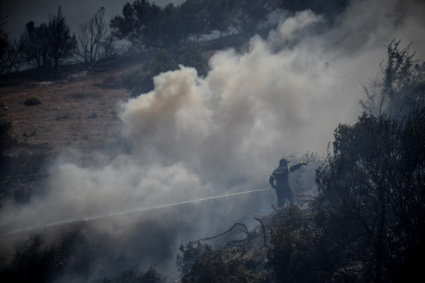 Υπό μερικό έλεγχο η φωτιά στη Φθιώτιδα (vid)