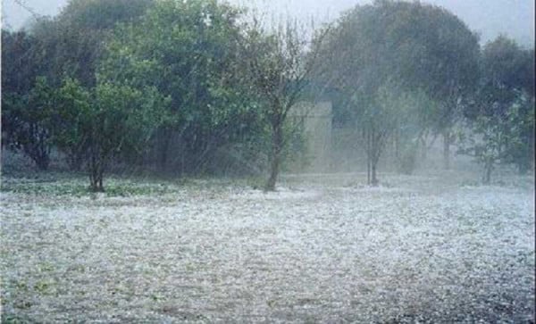 Αγανακτισμένοι οι αγρότες στην Ημαθία - Η ζημιά από το χαλάζι είναι στο 100% - Ζητούν άμεσα αποζημίωση από τον ΕΛΓΑ