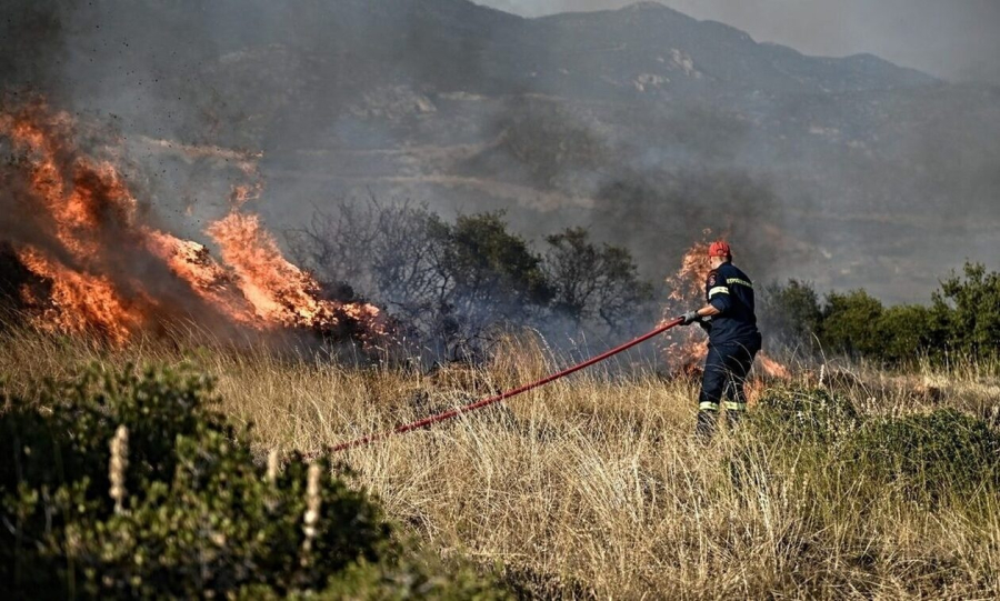 Φωτιά τώρα στα Βραχναίικα Αχαΐας