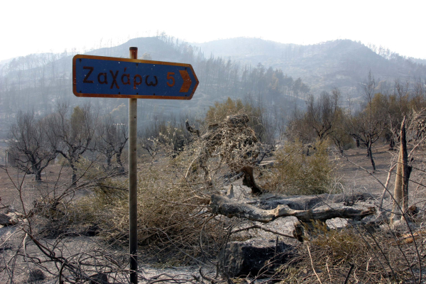 Άλειφαν το σώμα τους με λάδι και χώμα να γλιτώσουν, αποχαιρετούσαν την οικογένειά τους: 16 χρόνια από την φονική πυρκαγιά στην Ηλεία