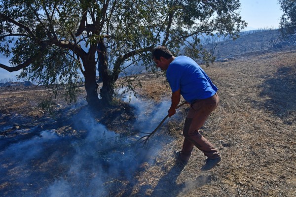 Σε ύφεση τα πύρινα μέτωπα στην Ηλεία- Μειωμένη η ένταση των ανέμων