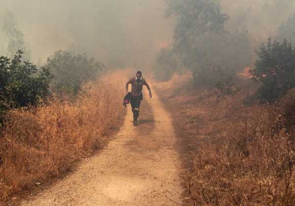 Ευχαριστίες Τόσκα στους πυροσβέστες που επιχειρούν στη πυρκαγιά της Ευβοίας 