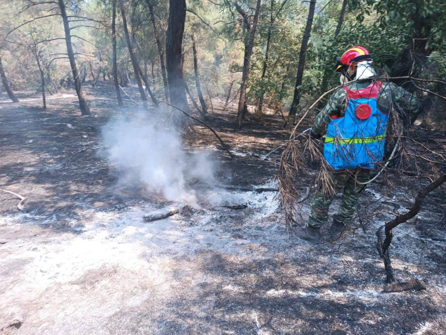 Φωτιά στον Έβρο: Εκτροπή της κυκλοφορίας λόγω εξάπλωσης του μετώπου