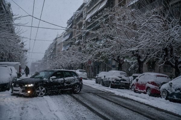 Διακοπή της κυκλοφορίας στη Βασιλίσσης Σοφίας λόγω πτώσης δέντρου