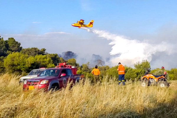 Φωτιά σε δασική περιοχή στην Ποταμιά Σπάρτης