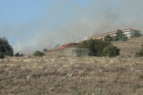 Ήπειρος: Φωτιά τώρα κοντά σε Άσυλο Ανιάτων