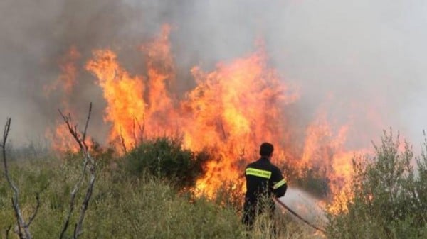 Φωτιά σε δασική έκταση στον Άγιο Αντώνιο Κουβαρά Αττικής