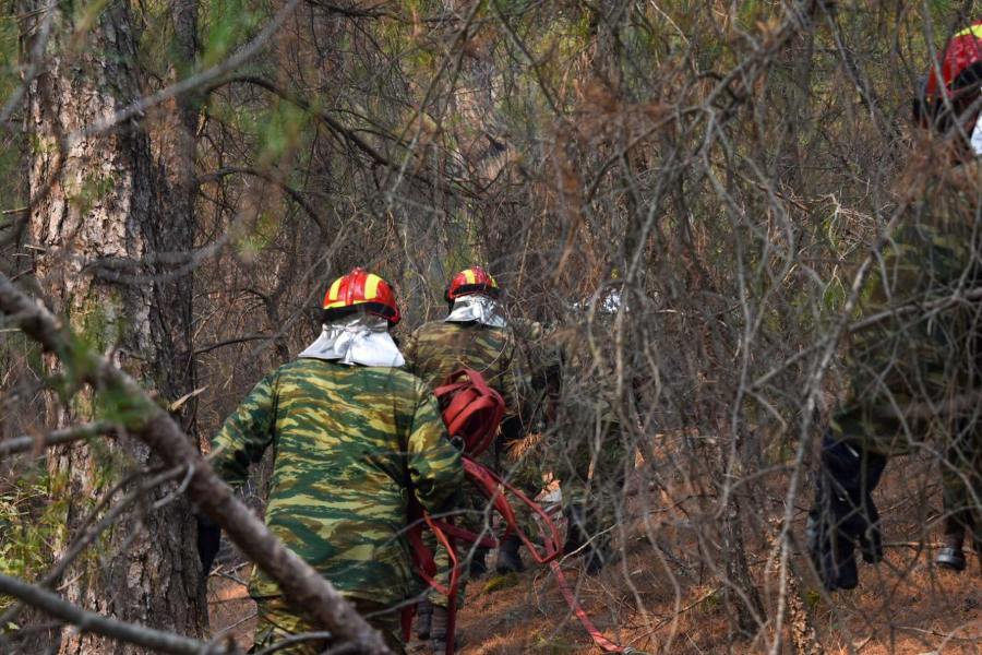 Συνεχίζει το καταστροφικό της έργο η φωτιά στον Έβρο: Η εικόνα στα μέτωπα