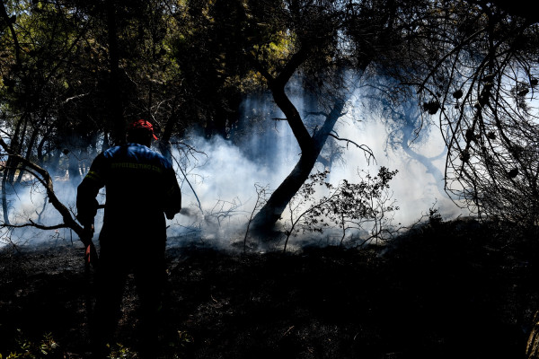 Τραυματίστηκε πυροσβέστης στην φωτιά στην Κορινθία